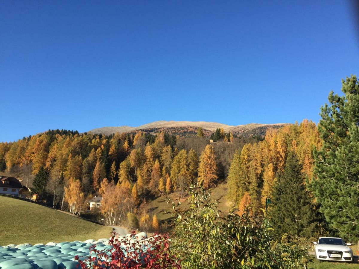 Feielhof Hotel Krakaudorf Kültér fotó