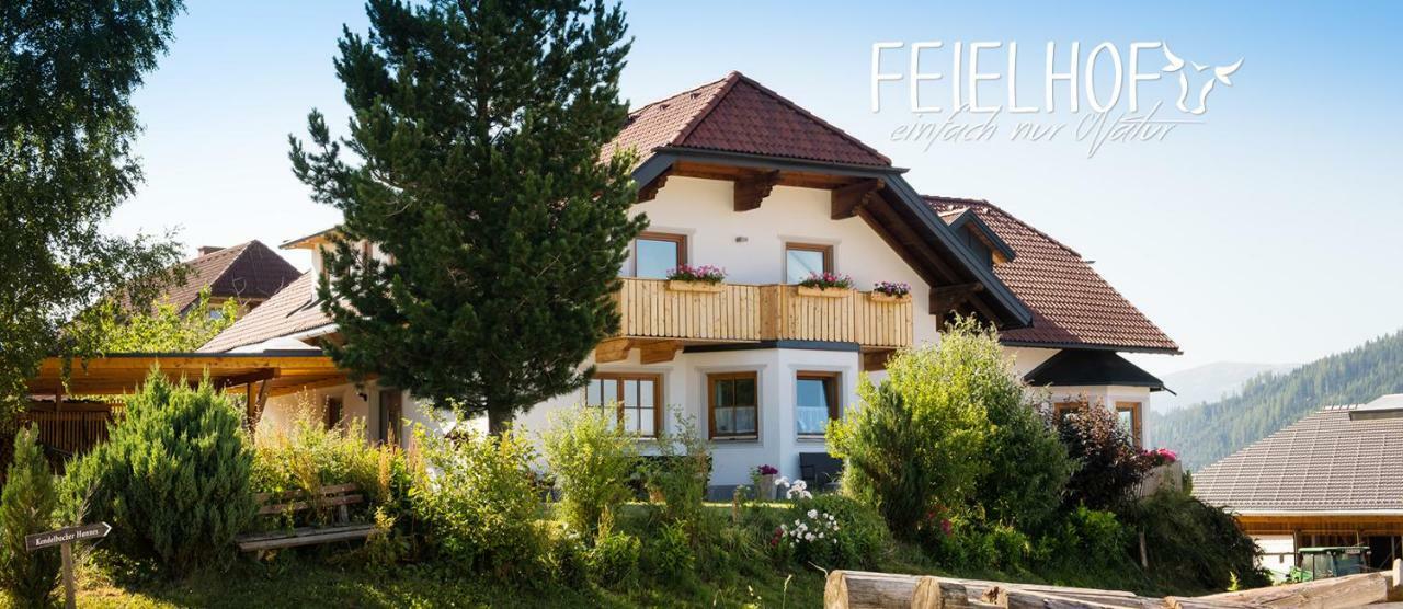 Feielhof Hotel Krakaudorf Kültér fotó